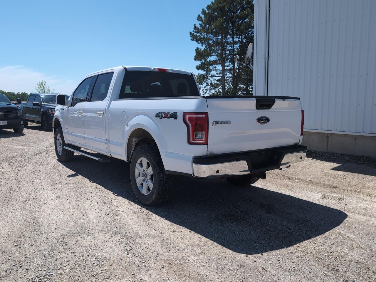 2016 Ford F-150 XLT 4WD SuperCrew 6.5' Box Photo3