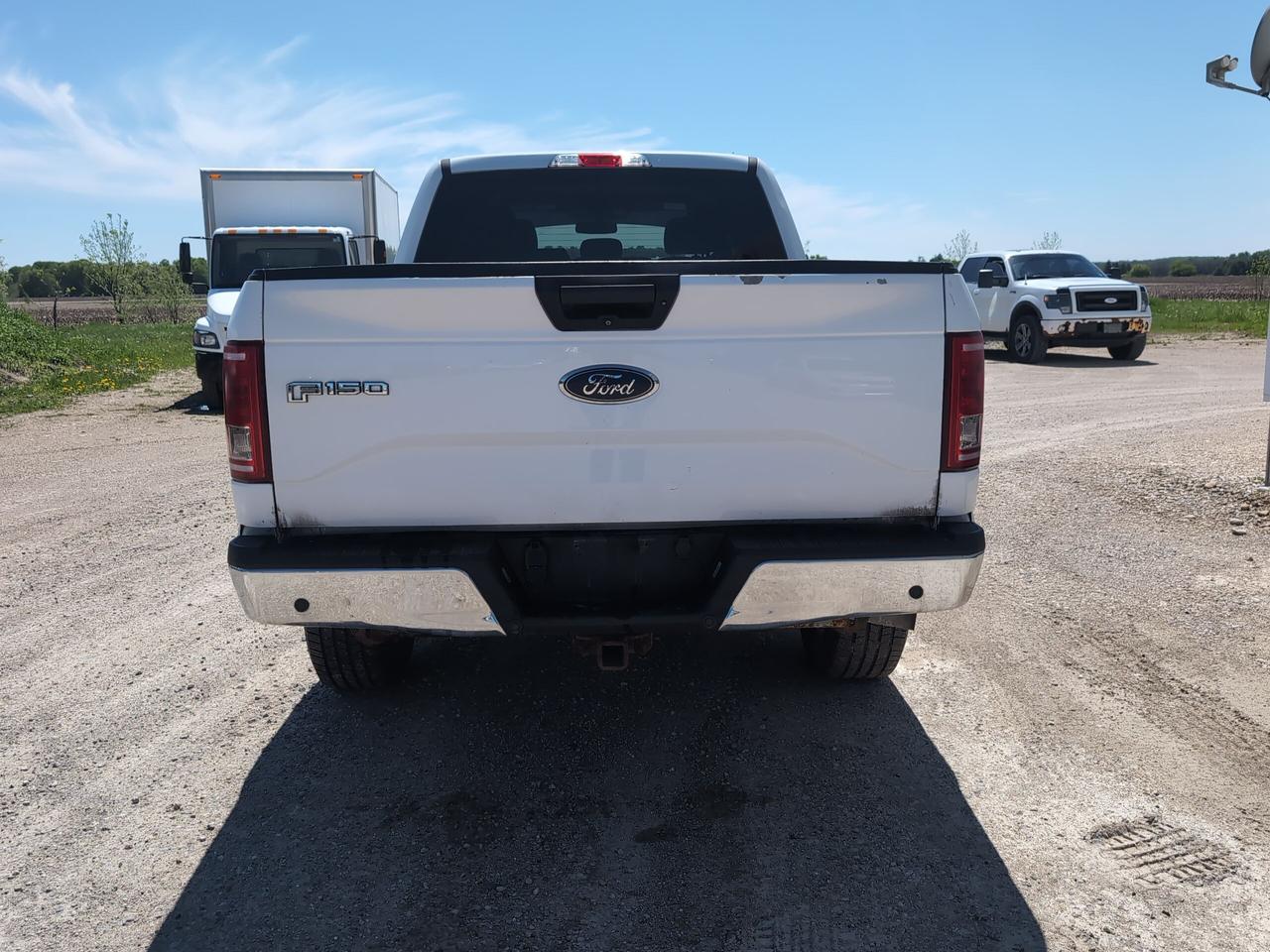 2016 Ford F-150 XLT 4WD SuperCrew 6.5' Box Photo4