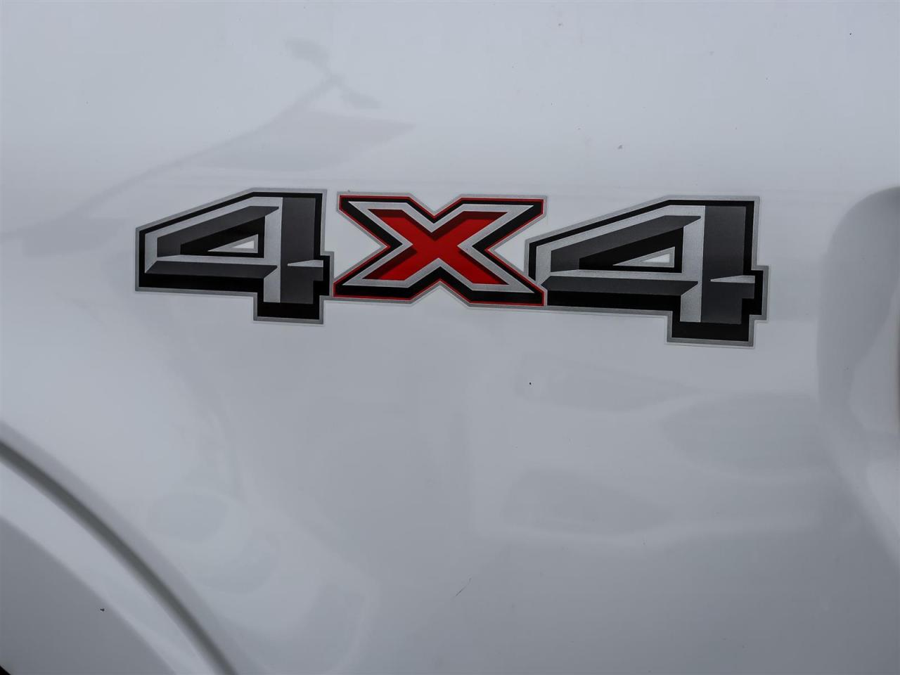 2023 Ford F-150 XLT Liner | 6.5 Box Size | Eco Boost 3.5 | Photo