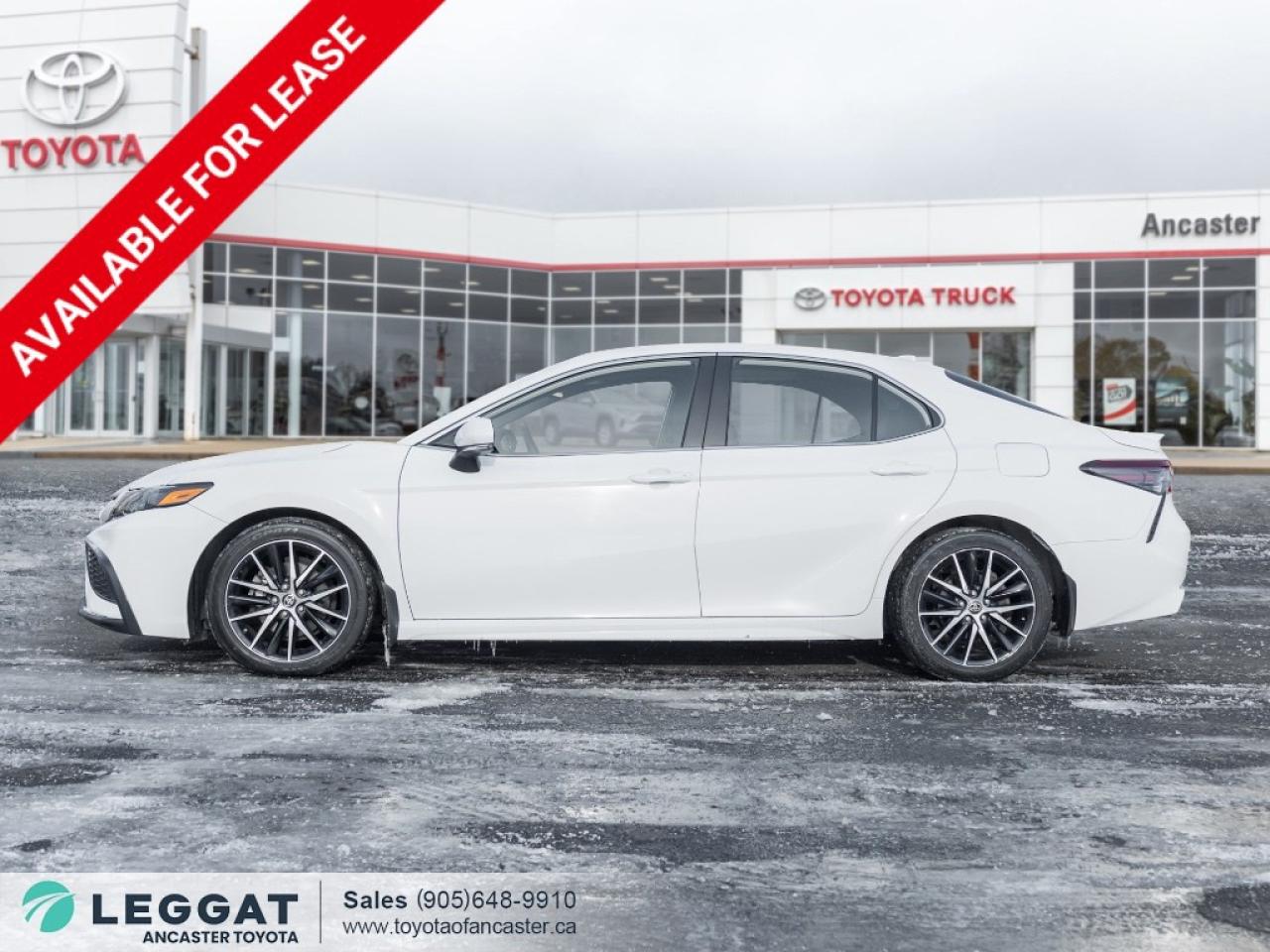 2023 Toyota Camry HYBRID Hybrid SE Auto Photo