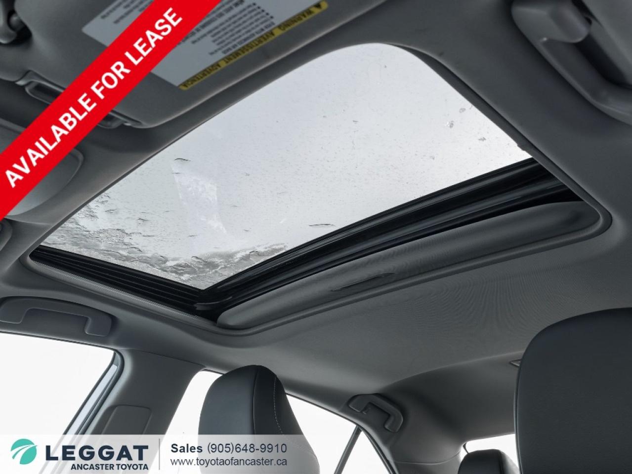 2023 Toyota Camry HYBRID Hybrid SE Auto Photo