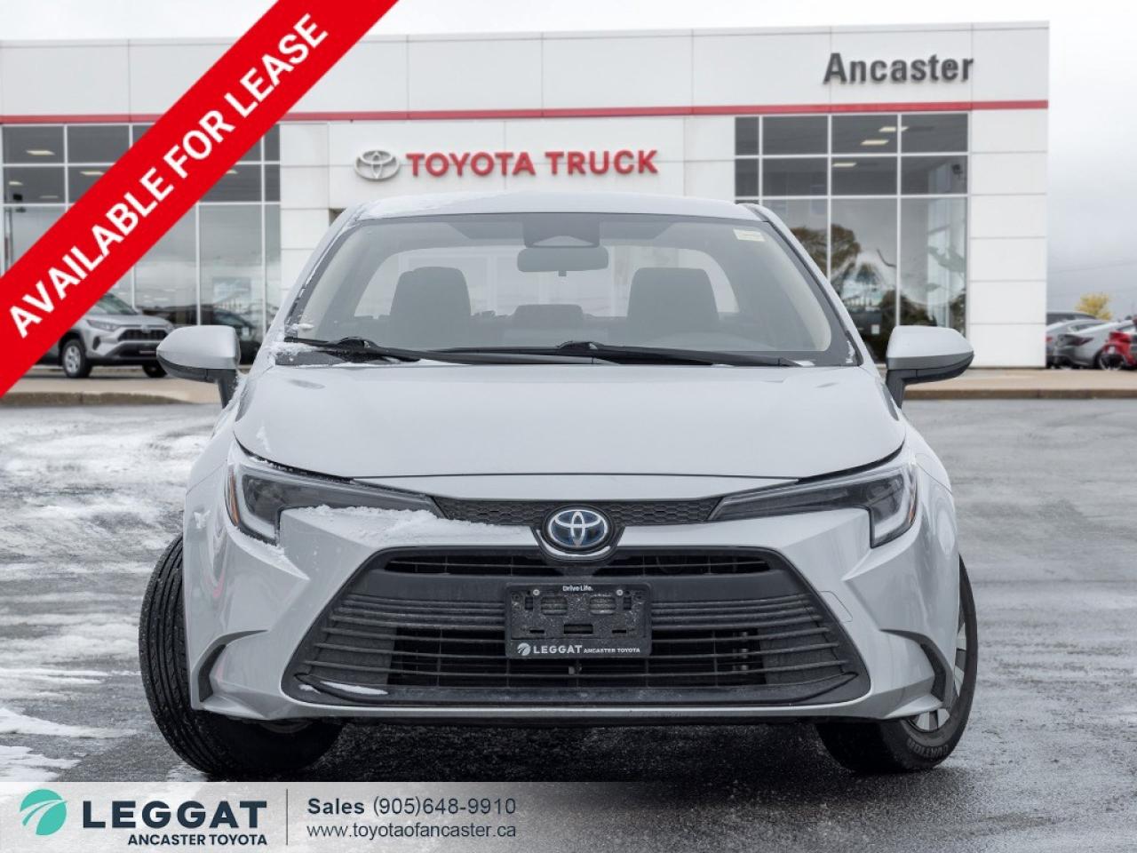 2023 Toyota Corolla Hybrid Hybrid LE CVT Photo