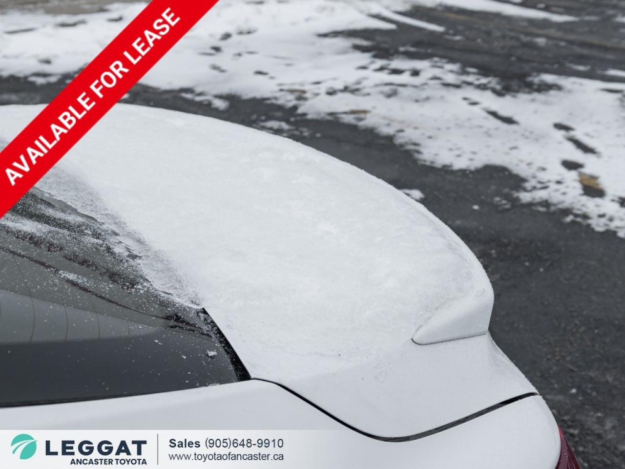 2024 Toyota Camry SE Auto Photo