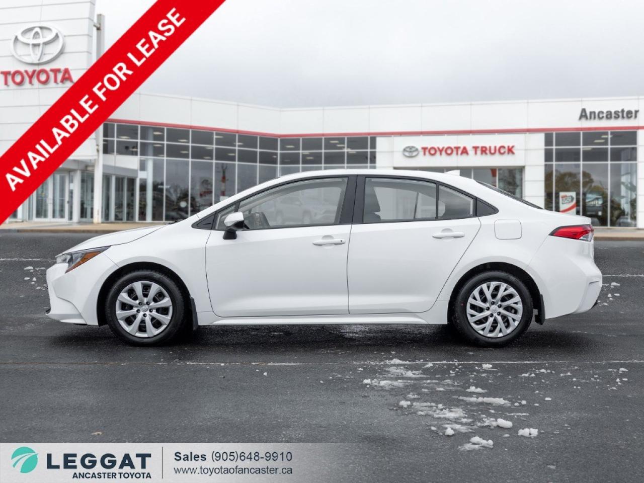 2024 Toyota Corolla LE CVT Photo2