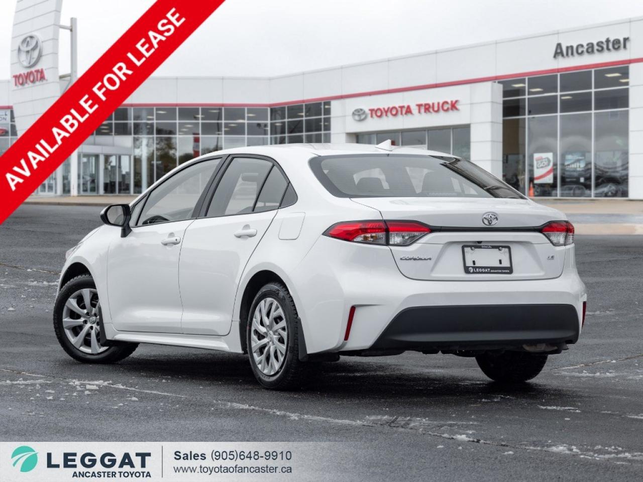 2024 Toyota Corolla LE CVT Photo