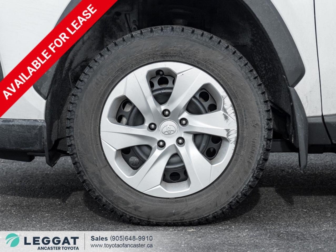 2024 Toyota RAV4 LE AWD Photo3