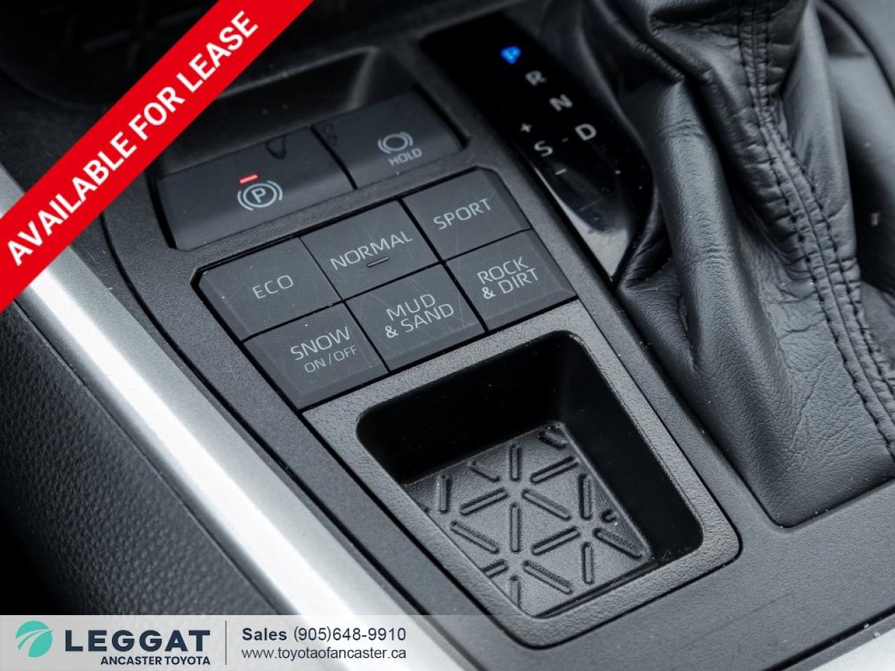 2024 Toyota RAV4 LE AWD Photo