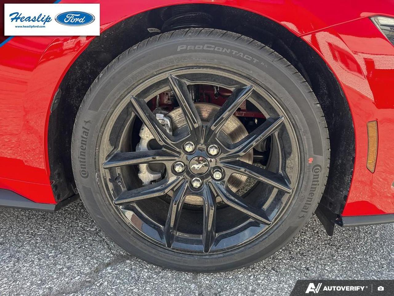 2026 Ford Mustang EcoBoost Premium Photo