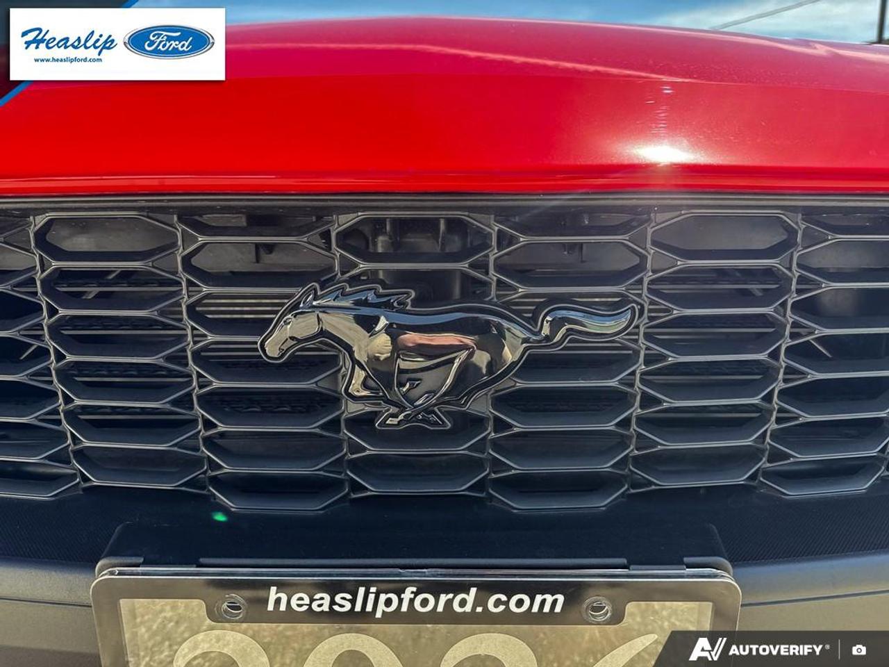 2026 Ford Mustang EcoBoost Premium Photo