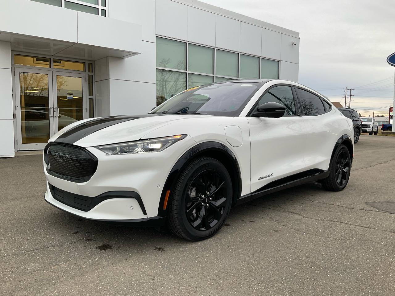 Used 2023 Ford Mustang Mach-E Premium for sale in Richibucto, NB