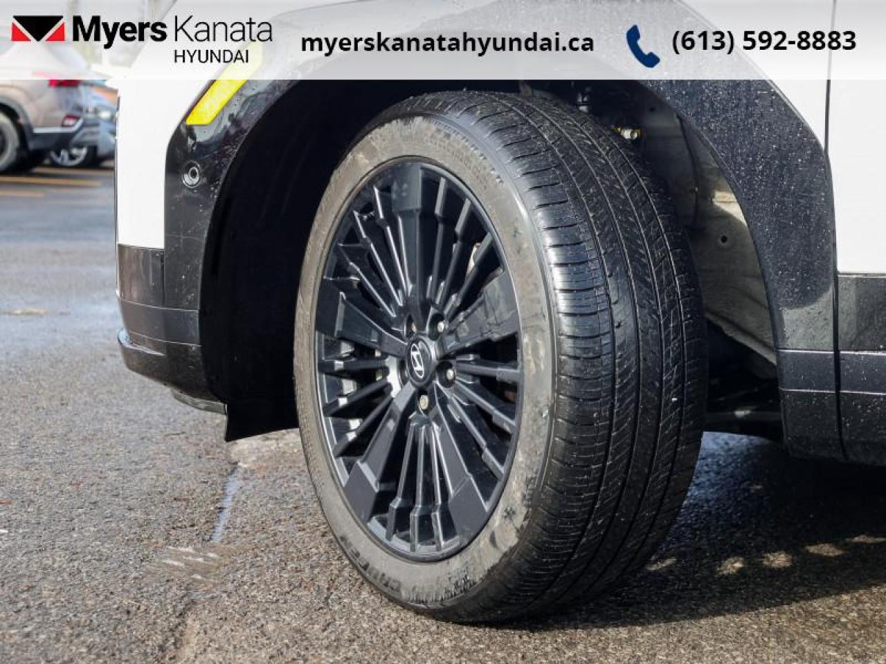 2024 Hyundai Santa Fe Hybrid Ultimate Calligraphy NHL Special Edition Photo