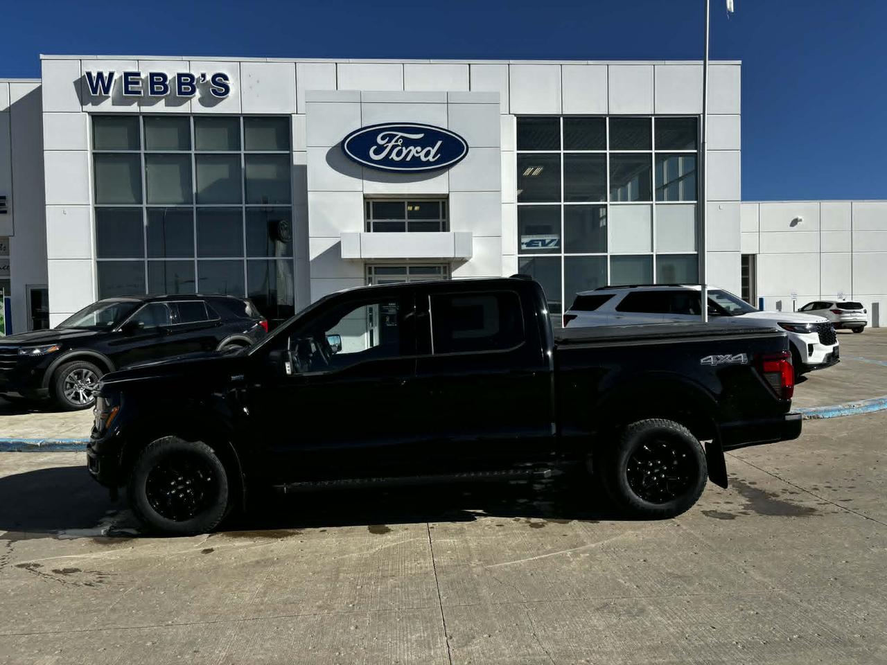 2026 Ford F-150 XLT 4WD SuperCrew 5.5' Box Photo4