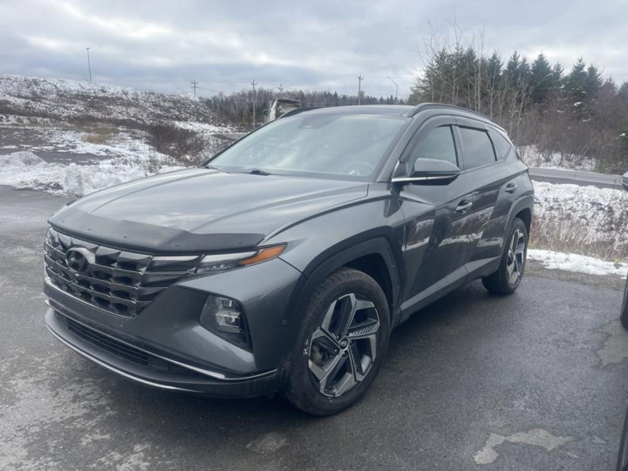 Used 2022 Hyundai Tucson Hybrid Ultimate for sale in Grand Falls-Windsor, NL