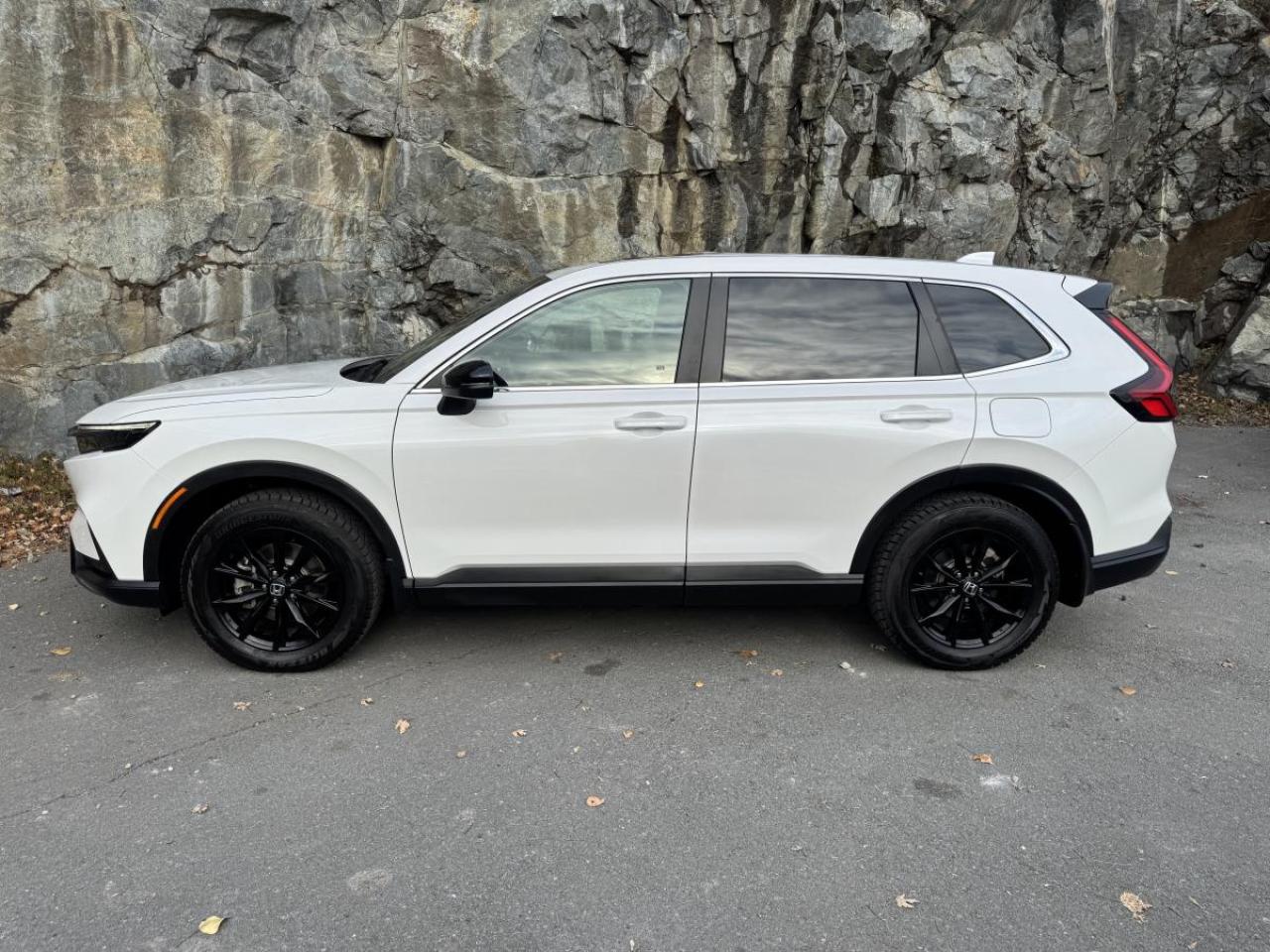 2024 Honda CR-V HYBRID EX-L AWD Photo