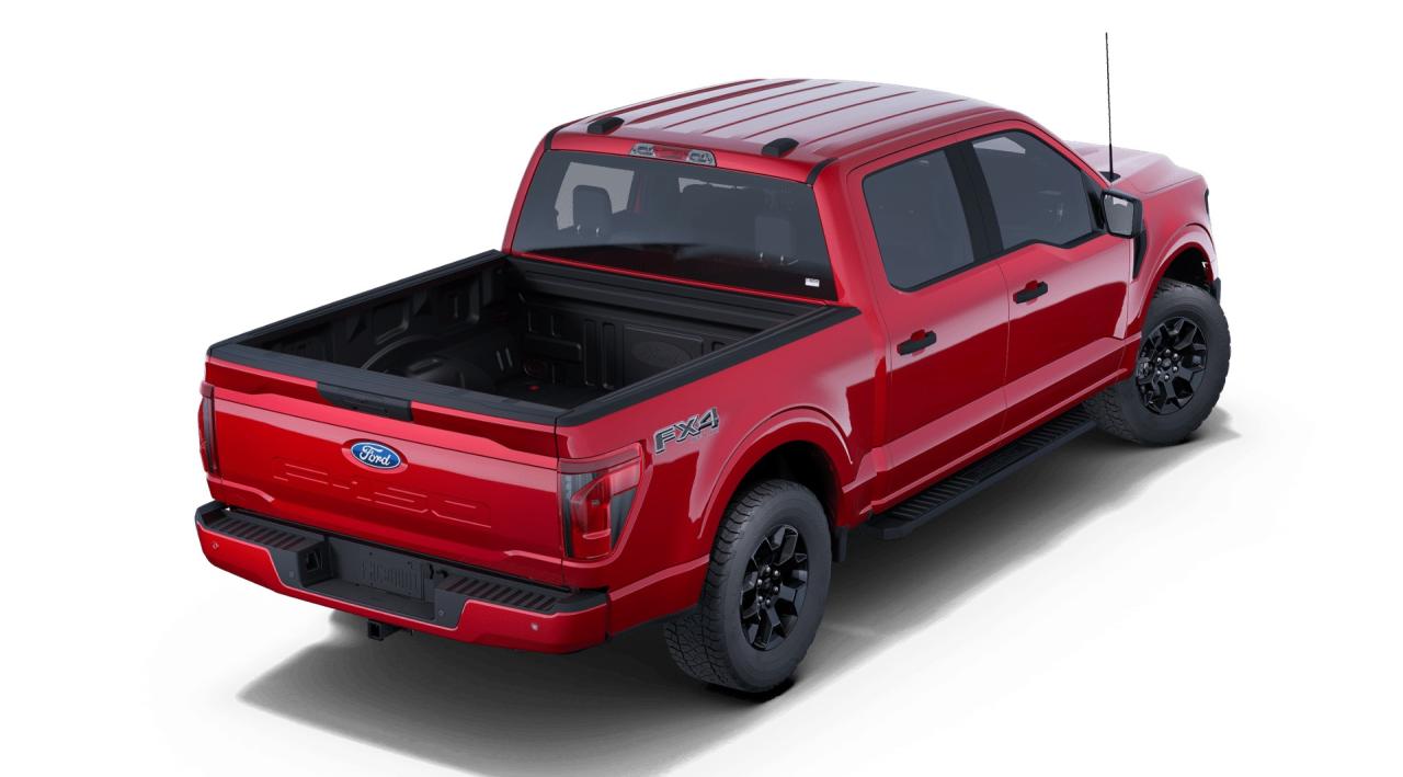 2025 Ford F-150 STX Photo