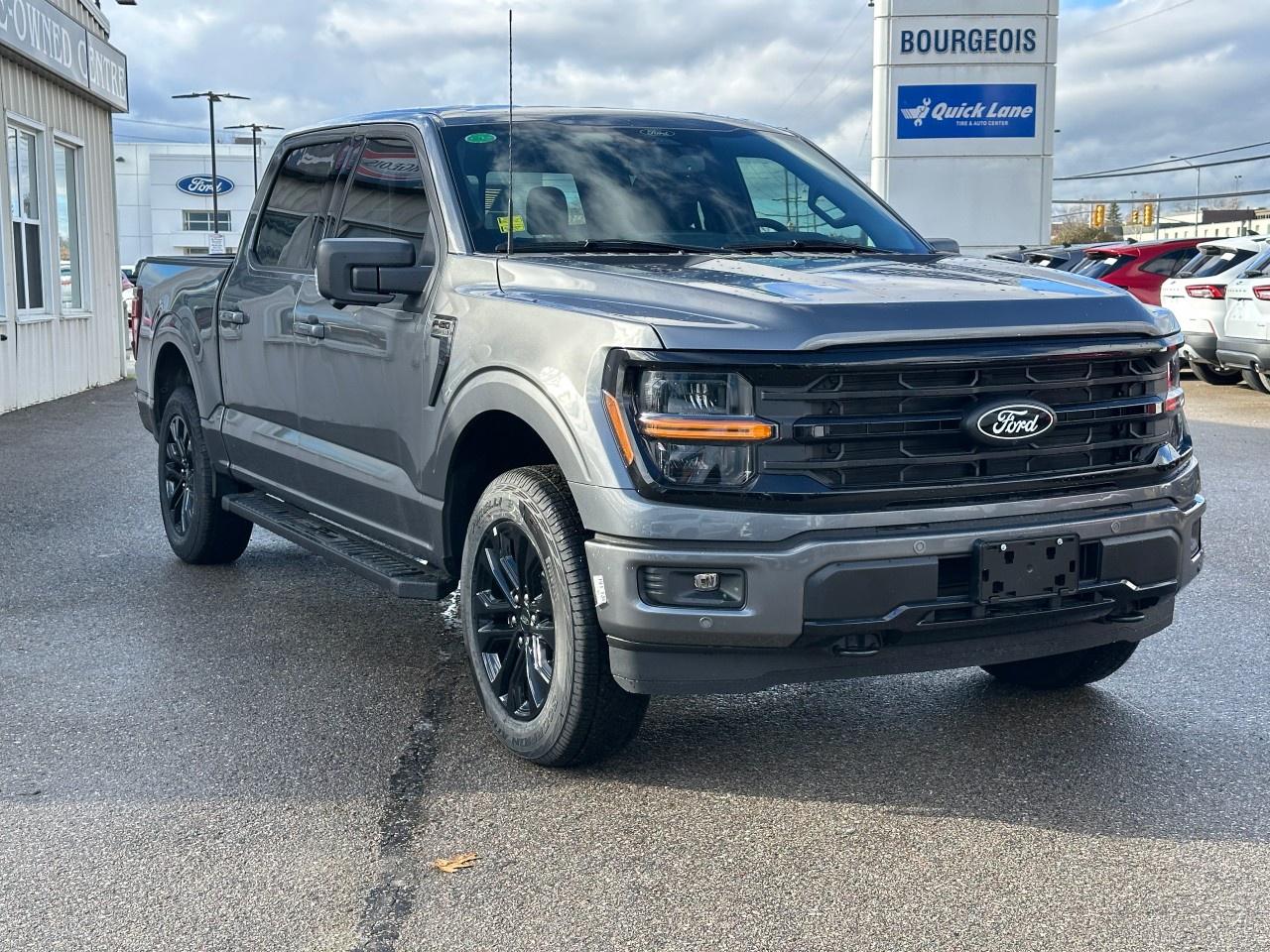 2025 Ford F-150 XLT 4WD SuperCrew 5.5' Box Photo