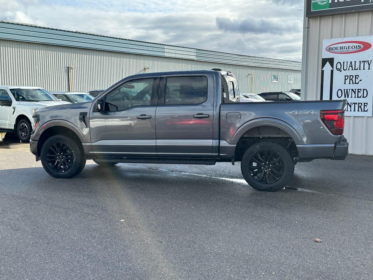 2025 Ford F-150 XLT 4WD SuperCrew 5.5' Box Photo