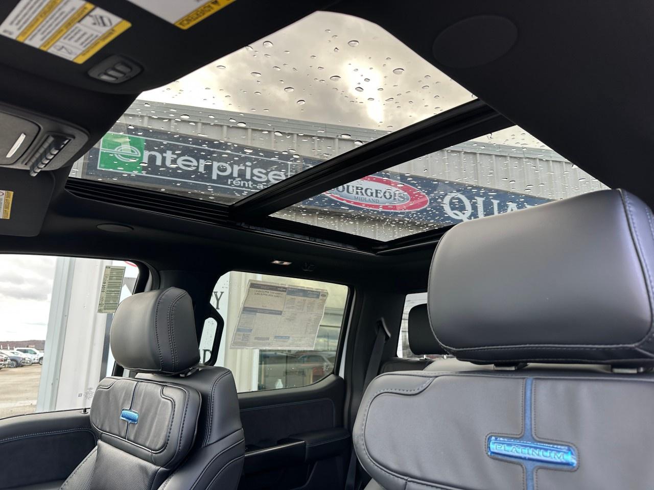 2026 Ford F-250 Super Duty SRW PLATINUM 4WD CREW CAB 6.75' BOX Photo