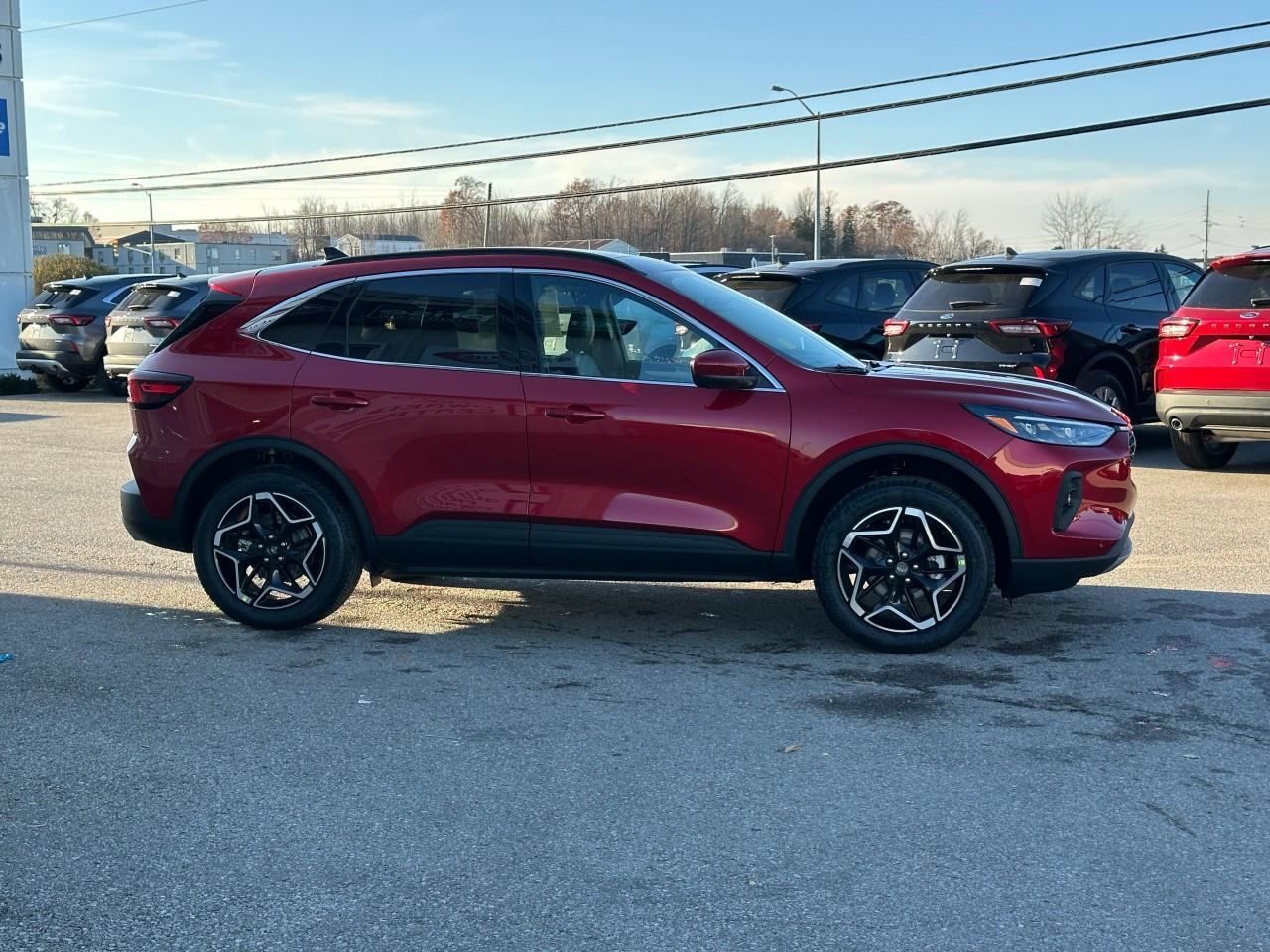 2026 Ford Escape Platinum AWD Photo4