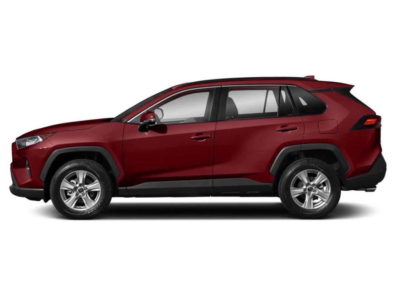 2020 Toyota RAV4 XLE Photo
