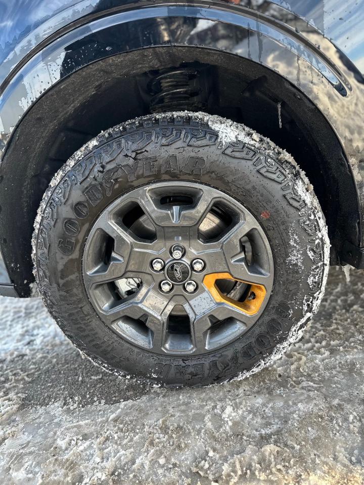 2025 Ford Maverick TREMOR Photo