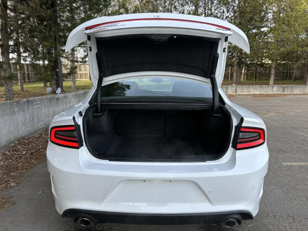 2021 Dodge Charger GT Photo