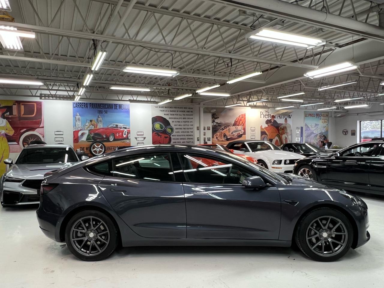 2022 Tesla Model 3 Long Range AWD Photo