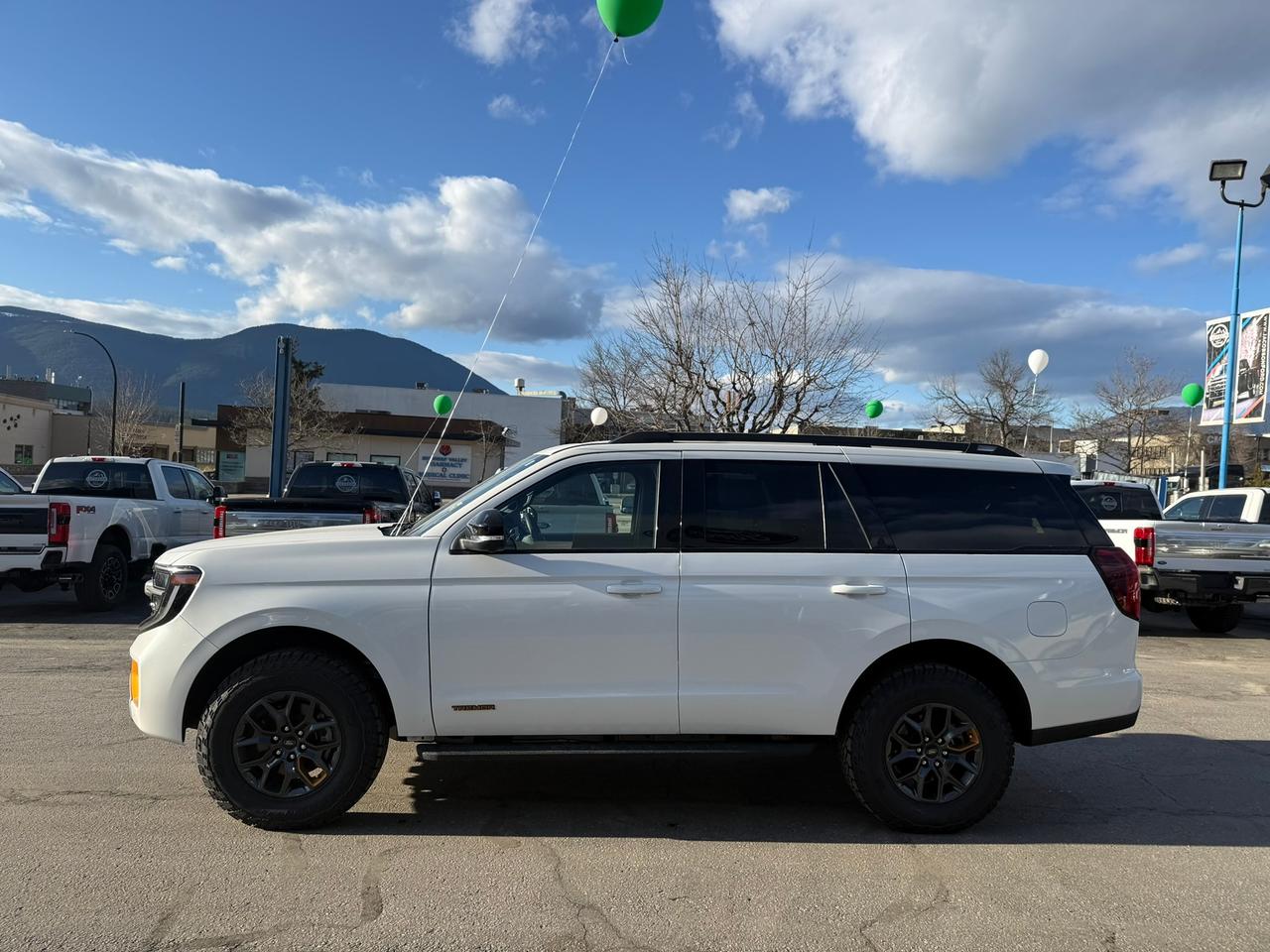 2026 Ford Expedition Tremor Photo4