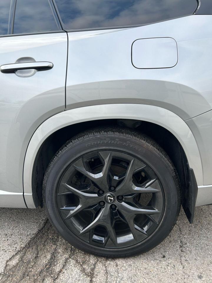 2024 Lexus TX TX 500h - Photo #6