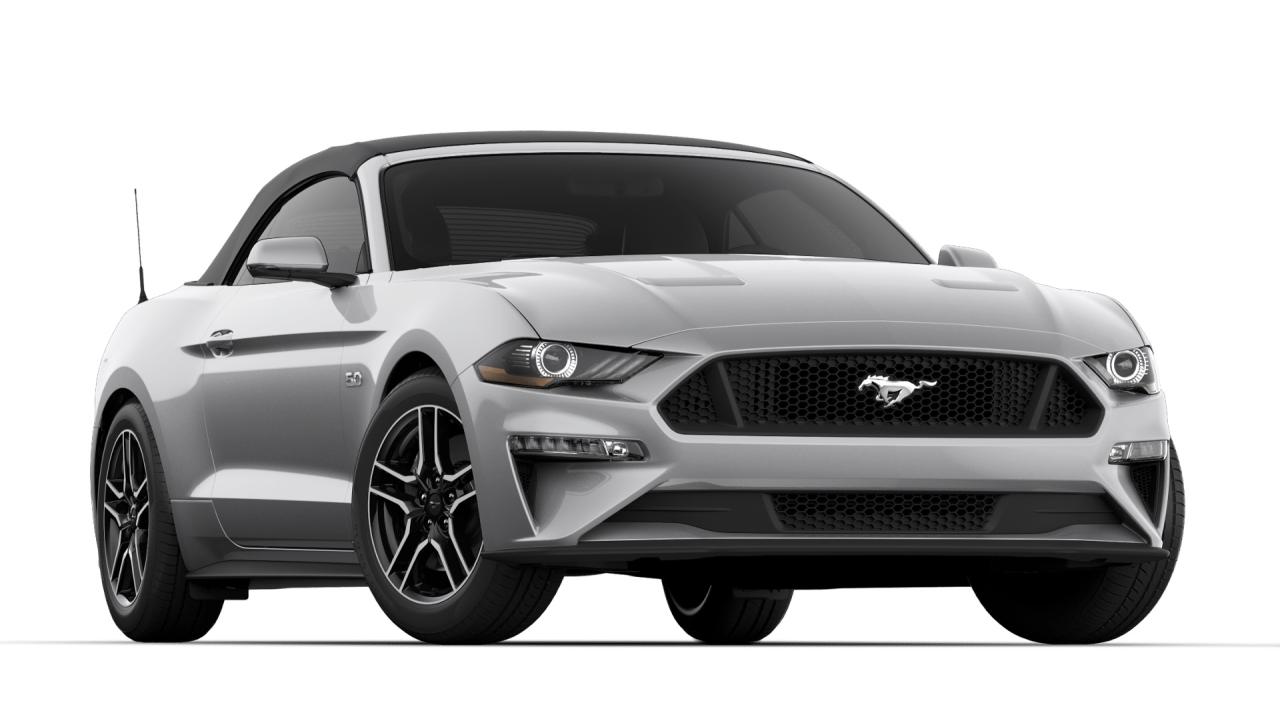 2019 Ford Mustang GT Photo