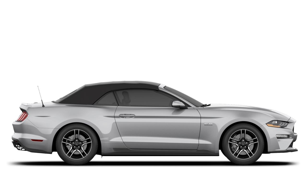 2019 Ford Mustang GT Photo4