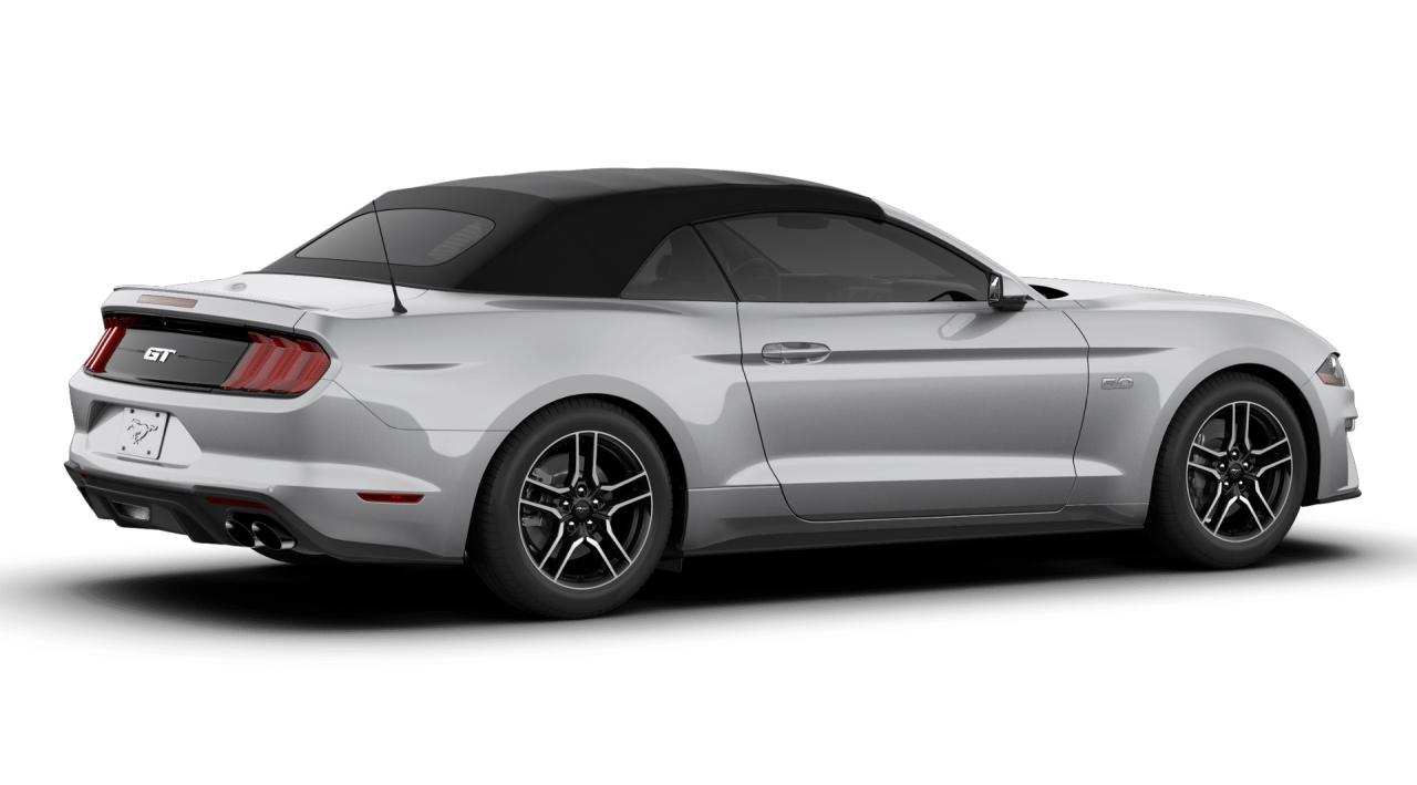 2019 Ford Mustang GT Photo