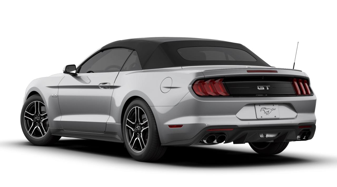2019 Ford Mustang GT Photo1