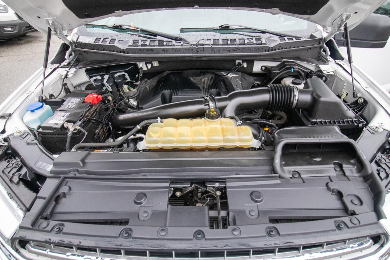 2020 Ford F-150 XLT 4WD SuperCrew 5.5' Box Photo5