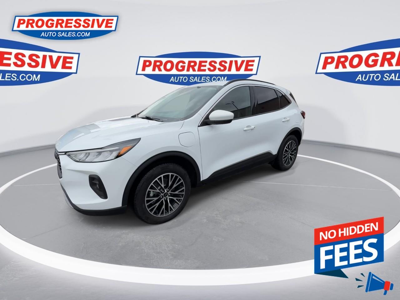 2023 Ford Escape PHEV Photo