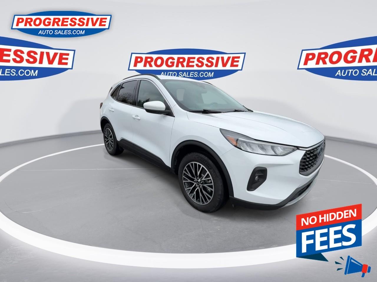 2023 Ford Escape PHEV Photo