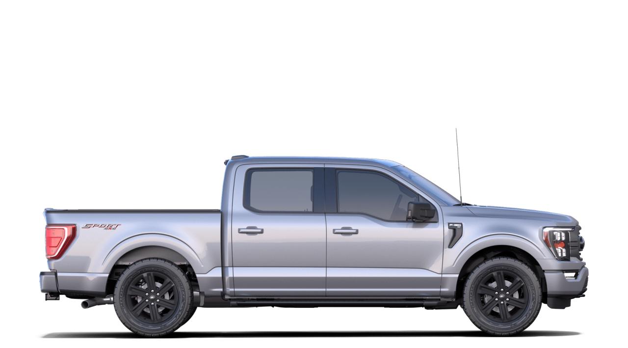 2021 Ford F-150 XLT 4WD SuperCrew 5.5' Bo Photo4