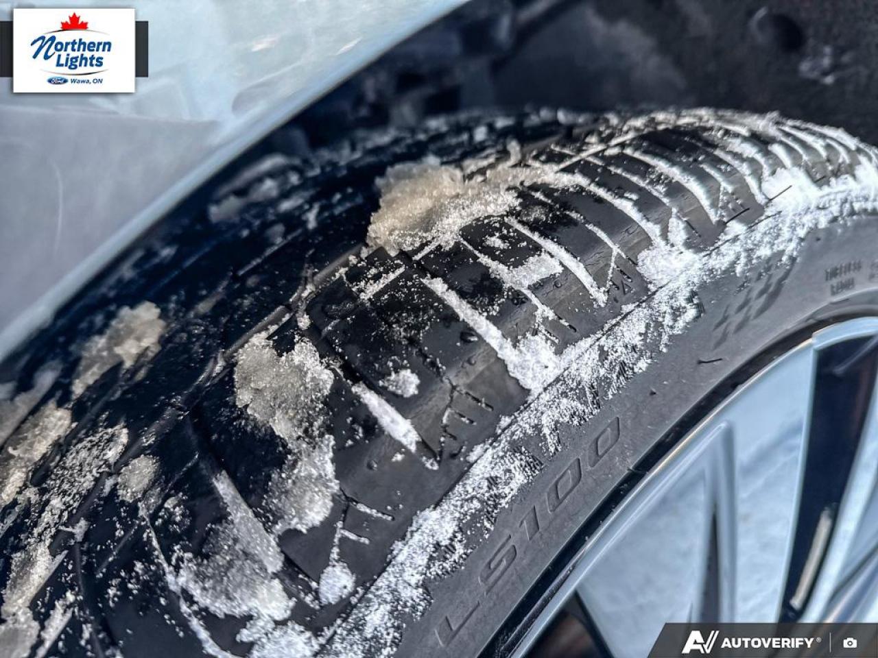 2022 Nissan Altima 2.5 SR Midnight Edition Photo