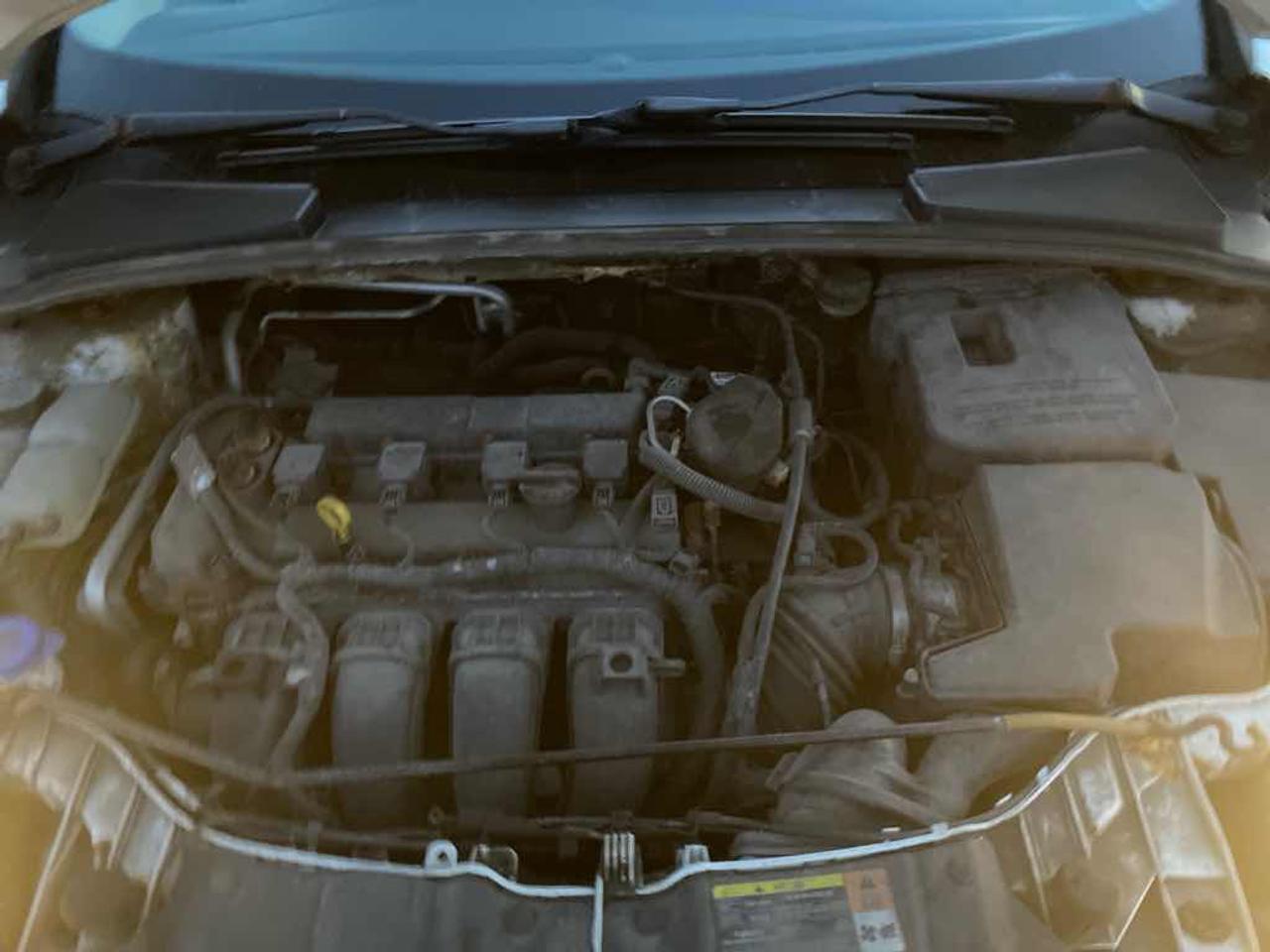 2012 Ford Focus SE Photo