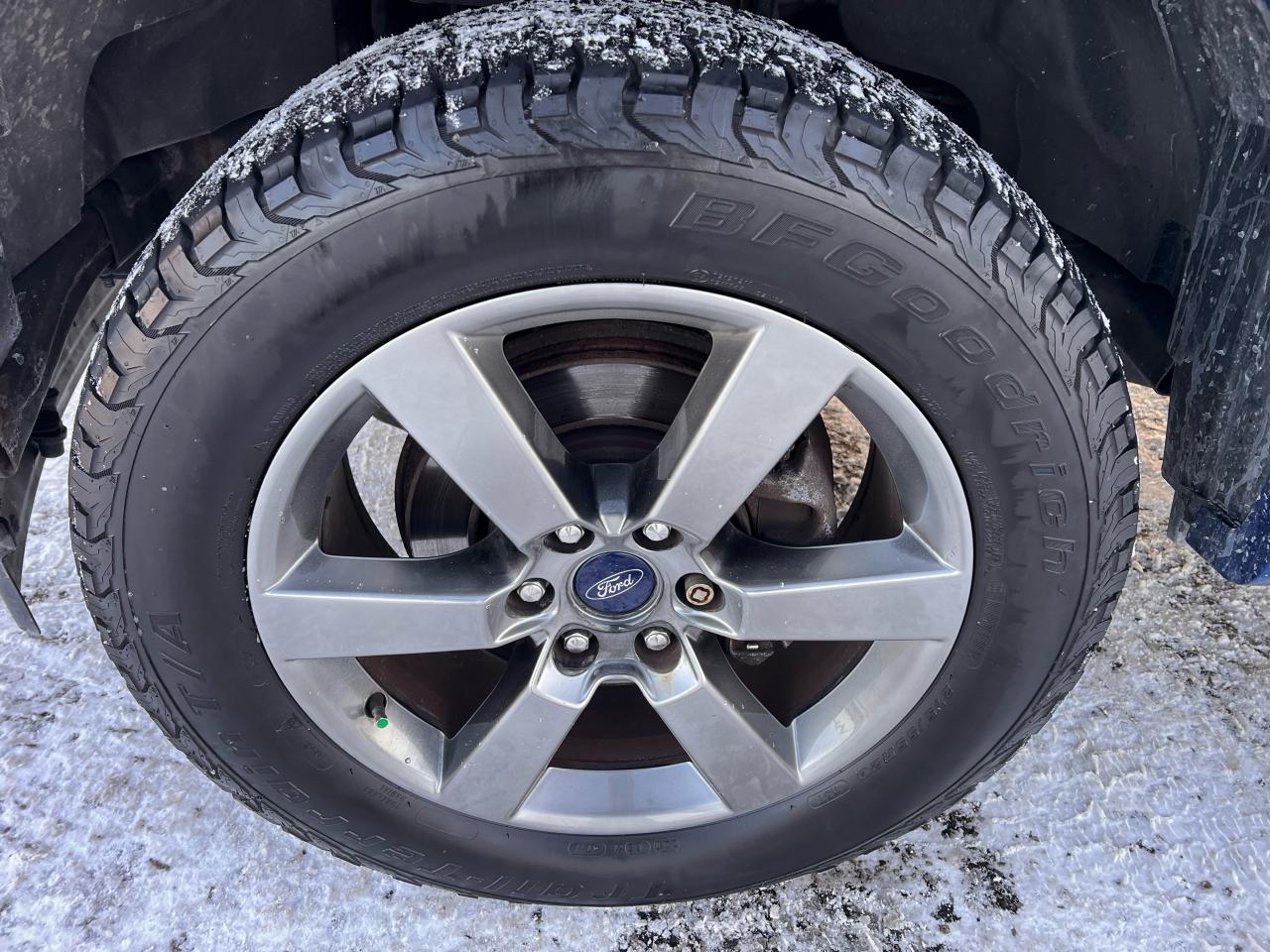 2017 Ford F-150 4WD SuperCrew 145" SPORT 5.0L V8 Photo