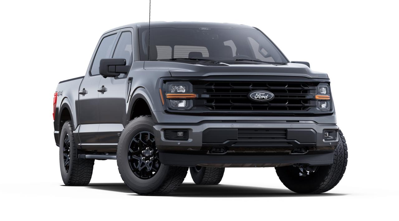 2025 Ford F-150 XLT 4WD SuperCrew 5.5' Box Hybrid Photo