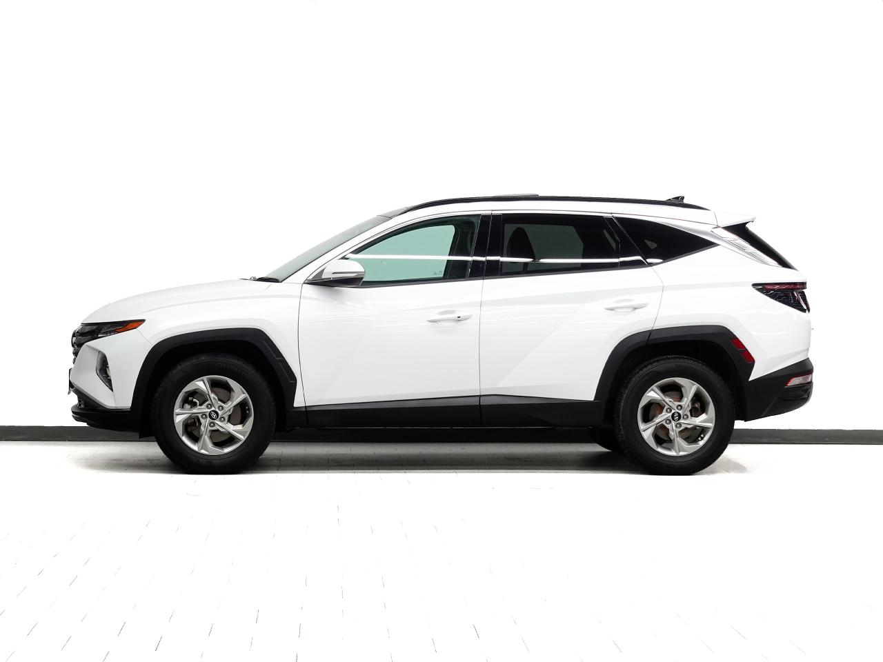 2024 Hyundai Tucson TREND AWD | Nav | Leather | Sunroof | BlindSpot Photo