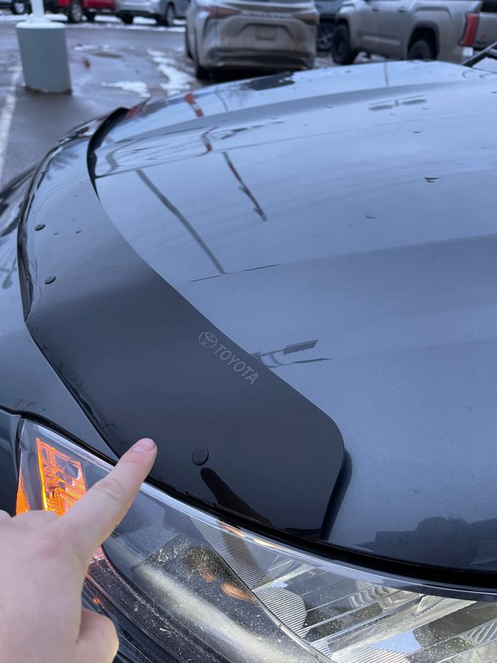 2020 Toyota Highlander XLE Photo