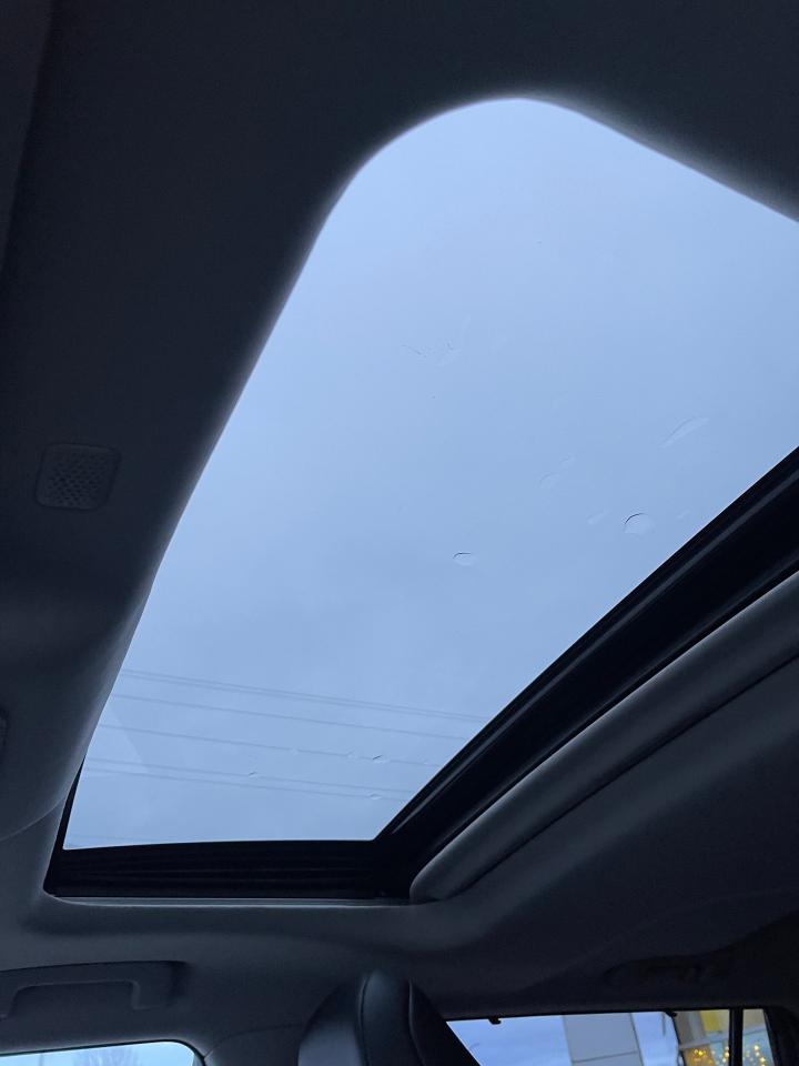 2020 Toyota Highlander XLE Photo