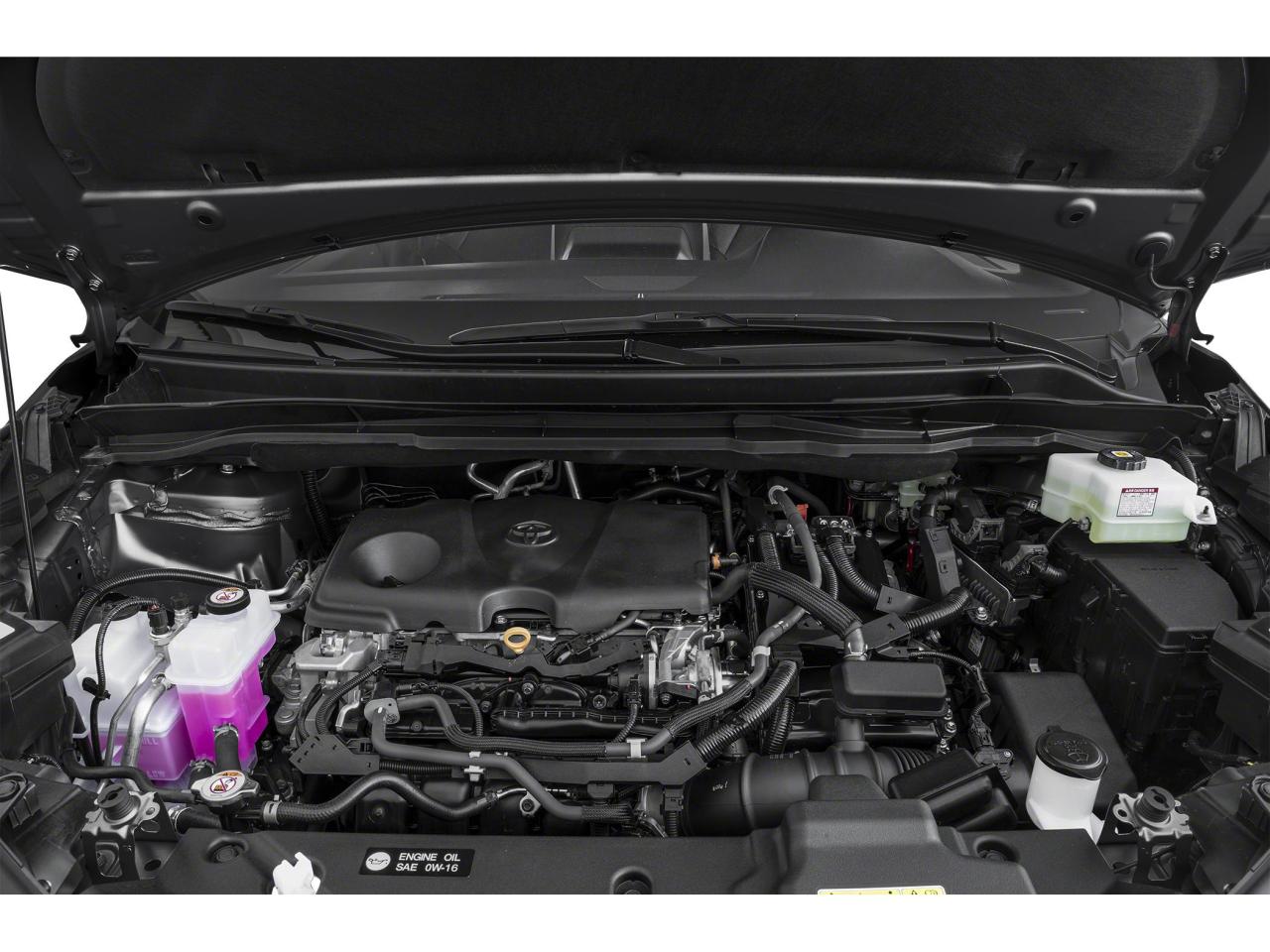 2025 Toyota Sienna XSE Photo