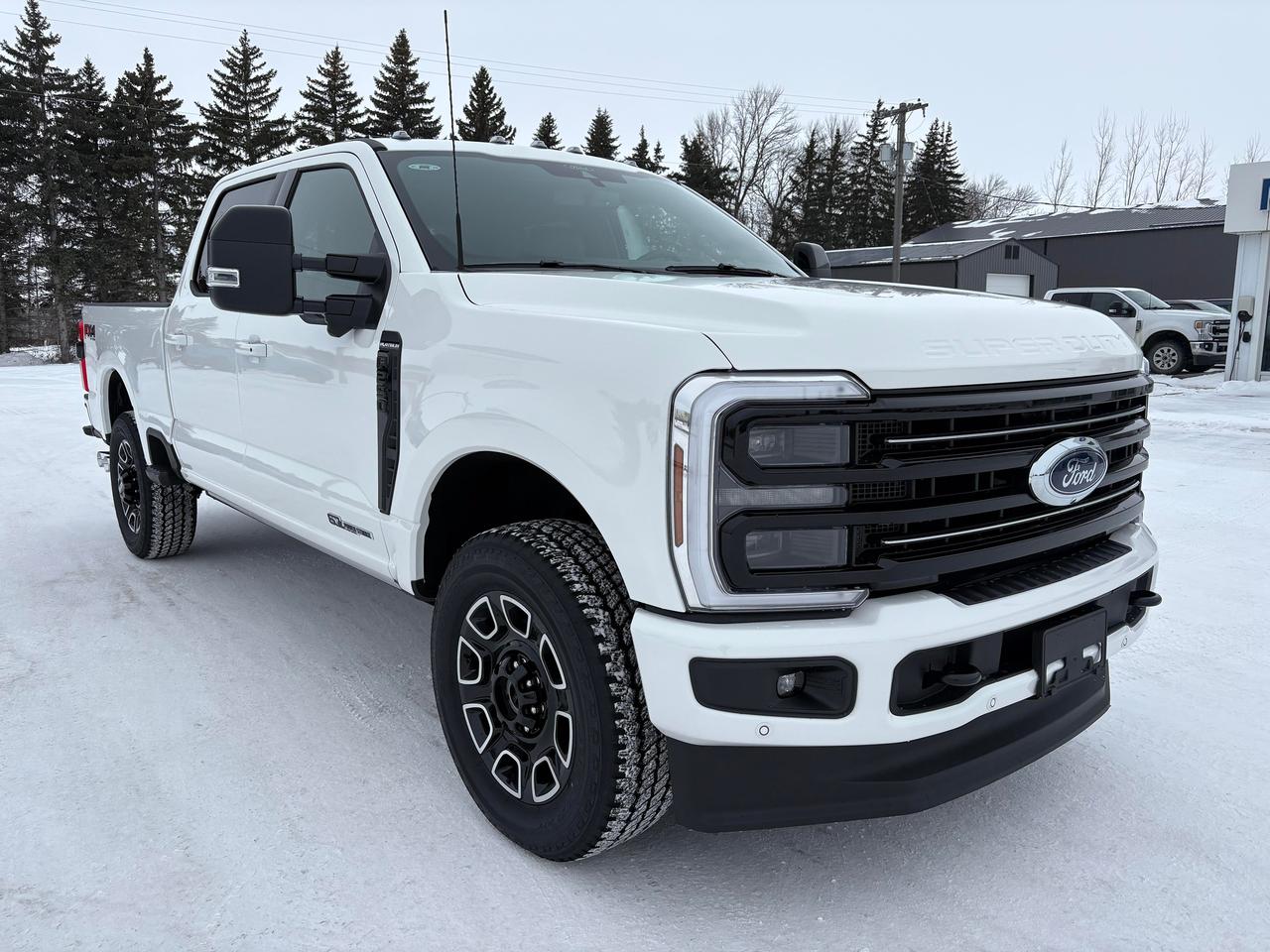 2026 Ford F-250 Super Duty SRW PLATINUM 4WD CREW CAB 6.75' BOX Photo3