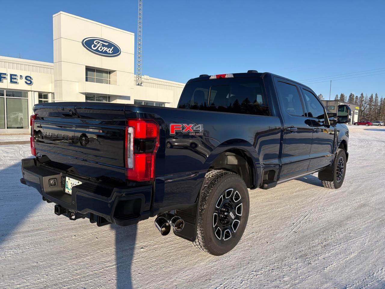 2025 Ford F-350 Super Duty SRW PLATINUM 4WD CREW CAB 6.75' BOX Photo4