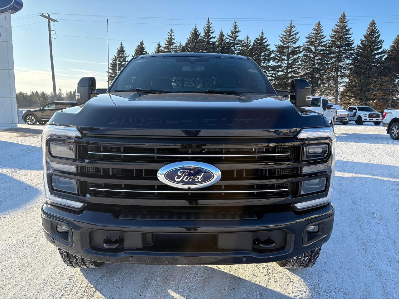 2025 Ford F-350 Super Duty SRW PLATINUM 4WD CREW CAB 6.75' BOX Photo2