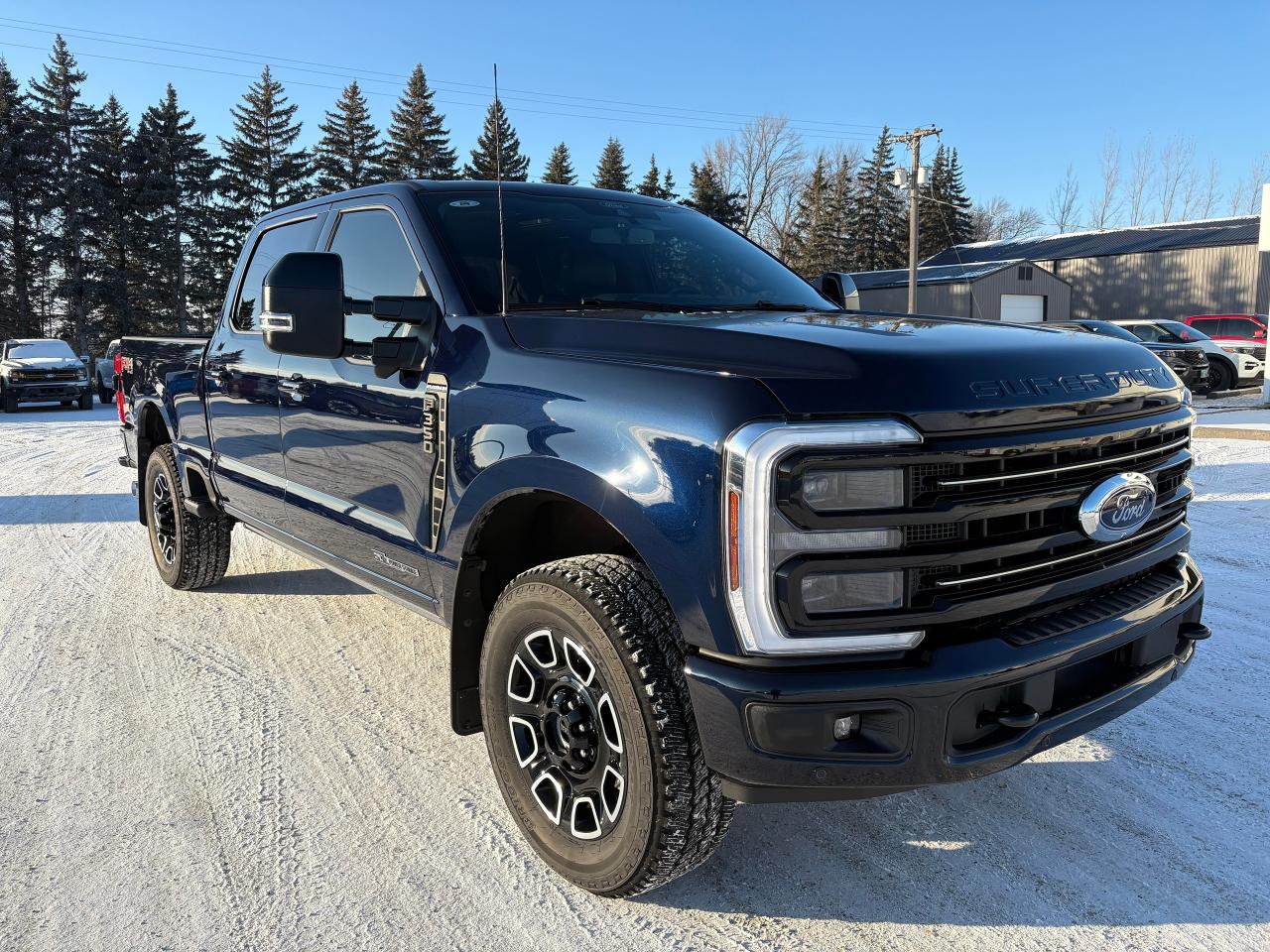 2025 Ford F-350 Super Duty SRW PLATINUM 4WD CREW CAB 6.75' BOX Photo3