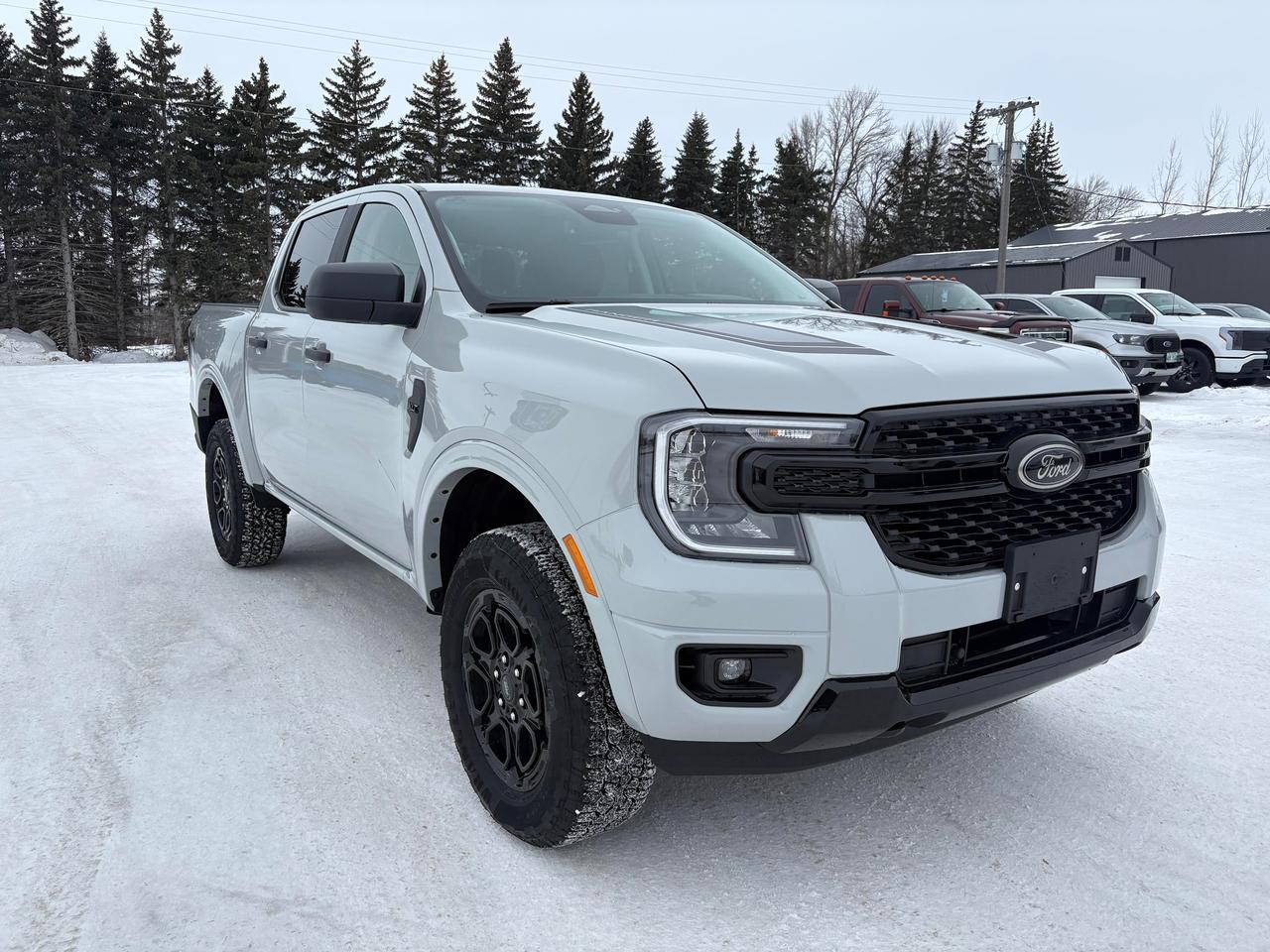 2026 Ford Ranger XLT 4WD SuperCrew 5' Box Photo3